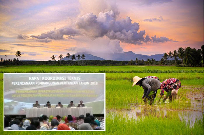 Sekjen Kementan Dorong Pemanfaatan Kontrak Kerja 2017, Rp31,03 Triliun